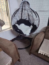 مرجوحه • حجم كبير • الضباط قرب الجسر