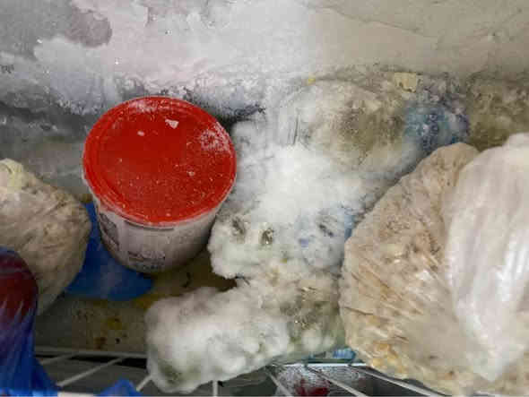 مجمده فول تجميد سعر 220 ثلاجه فول تجميد سعر 130 كربلاء حب طاقه يم مدرست وليد كعبه شرط فوول نضافه ***********  بي وات ساب  شرط نضافه شخط مابيهن كل تصليح ما طبات
