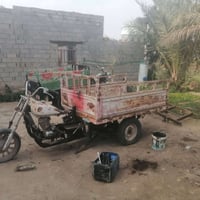 ستوته كلك • مشخاب • عاوزه ترتيب