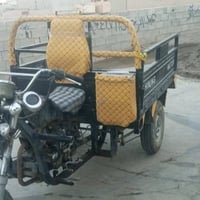 ستوته • موديل ١٧ • فحل