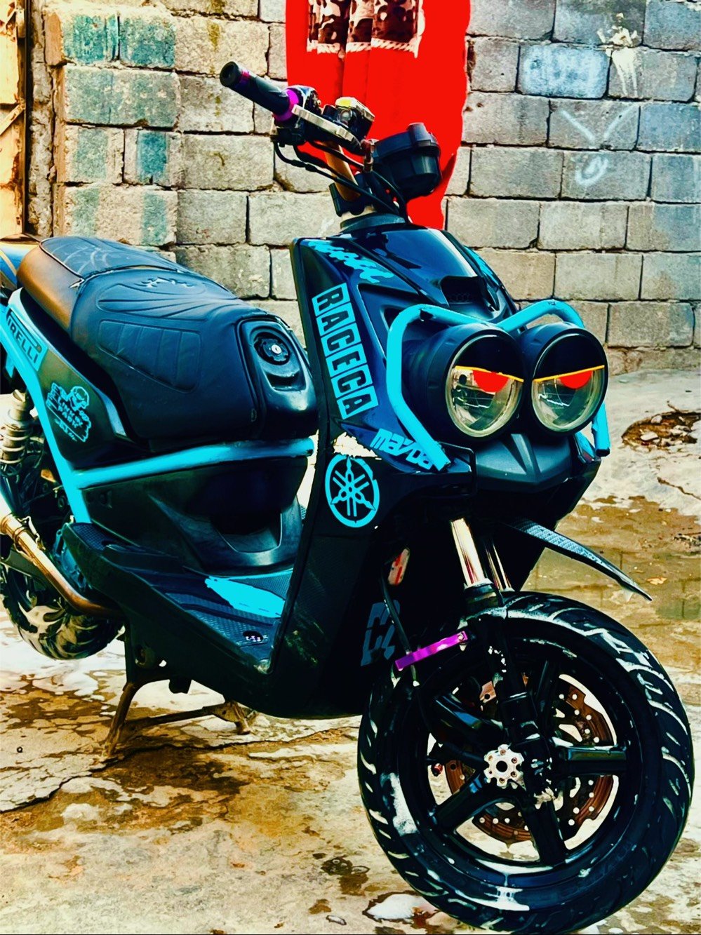 البصره  سكنس جبلي كفاله عامه نكره سلف 