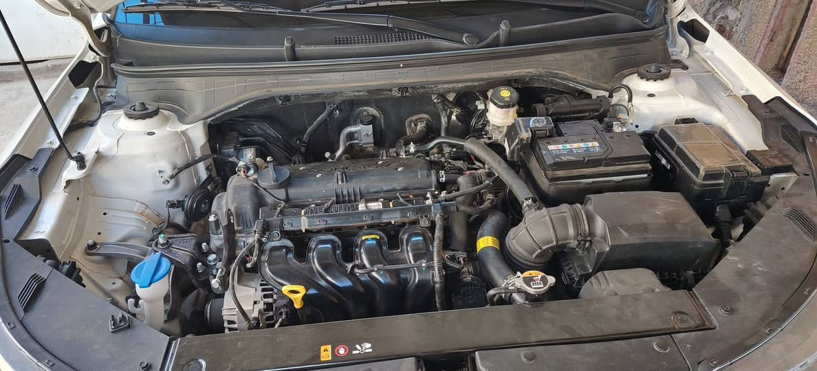 السلام عليكم ورحمة الله وبركاته
كي 3 مكسيكي خليجي ضمان الشركة الدولية

فول مواصفات عد البصمه و الفتحه
موديل ٢٤

محرك ١٦٠٠

ماشيه ١٩

مكفوله السيارة كفاله عامه

حره بغداد تحويل

السعر ١٦٠ بي مجال قليل

العنوان الناصرية مركز

*********** حسن
