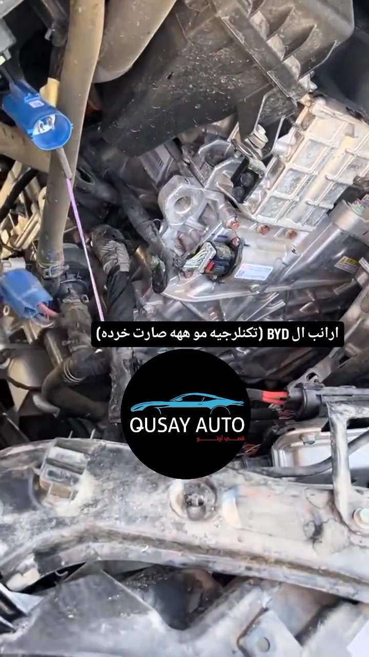 ارانب ال BYD (تكنلرجيه مو ههه صارت خرده)
#اربيل_العراق_كوردستان 
#بغداد_بصرة_موصل_الكويت_الخليج_دبي 
#سيارات 
#انستا 
#اكسبلور_explore


**إذا كنت صاحب هذا الإعلان وتريد حذفه لأي سبب، رجاءا أرسل رسالة إلى الدعم الفني**