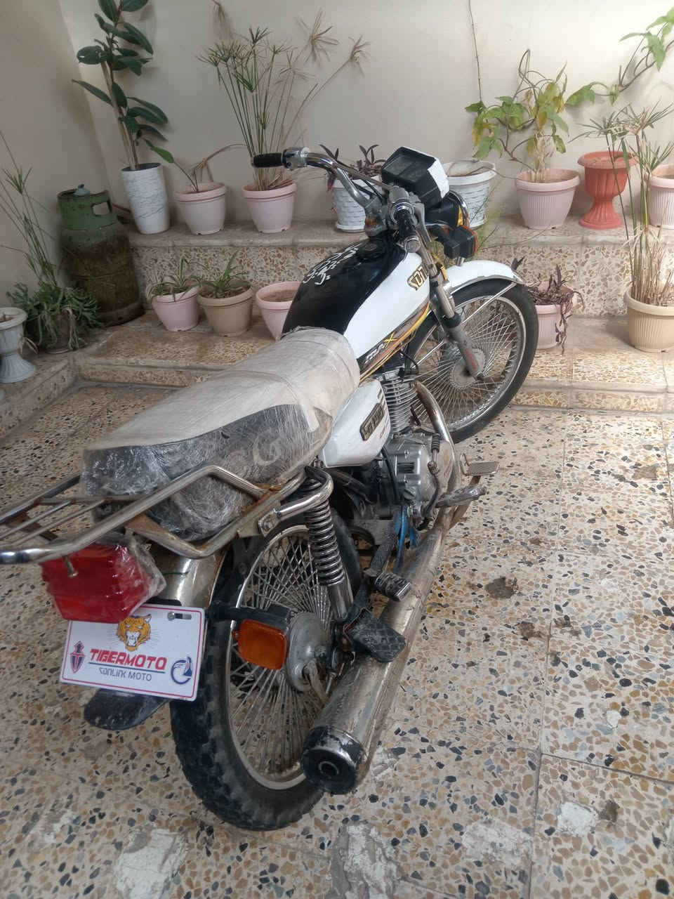 السلام عليكم ماطور 2024 مكينه صبانه ما مضروبه شغال كامل مكينه فول كزوز صراخ سعر 450 وبي مجال مكاني موصل


**إذا كنت صاحب هذا الإعلان وتريد حذفه لأي سبب، رجاءا أرسل رسالة إلى الدعم الفني**