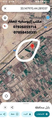 اليوسفيه الدولي • ٢ دونم • نخيل