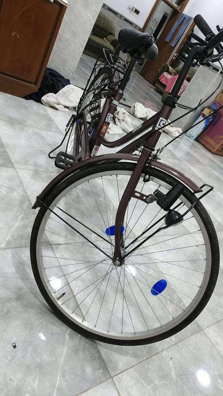 80 وبي مجال ***********
