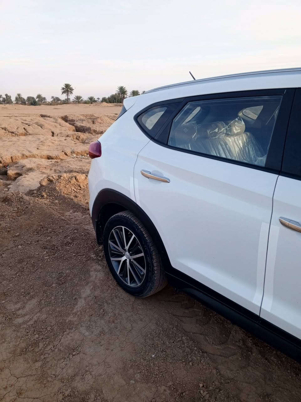 توسان ٢٠١٧ خليجي
كفاله عامه  .. الشكل المرغوب. قطعتين تبريد ماشيه ١٠٧ محرك شركه مامفتوح
 داخل صاج.   غرفه. تخبل. شركه.  
مواصفاته :شاشه. تحكم توسان ٢٠١٧
كفاله عامه  .. الشكل المرغوب. قطعتين تبريد ماشيه ١٠٧ محرك شركه مامفتوح
 داخل صاج.   غرفه. تخبل. شركه.  
مواصفاته :شاشه. تحكم ستيرن.شاير. بالمري.  المري شفط حساسات خلفيه. كأمره دواره  تخم تاير جديد تبريد تتفئه علمن السياره جديده كلش العنوان صلاح الدين الدجيل *********** بيه وتساب ***********. بالمري.  المري شفط
