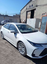 كورولا هايبرد • ٢٠٢٥ • الحر الصغير