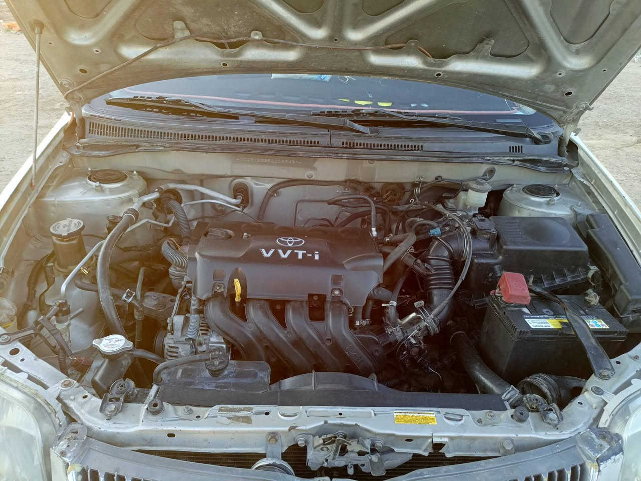 كورلا بيكاتشو 2005خليجي رقم أربيل المالك يريد تحويل سياره جازه محرك مابي لا صرف ولا تبخيرصدر خلفي مامي تخم تأير كهربائي سيارا كلها شغاله حادث جاملغ اليمن بس خشم سياره مابيهه قطرات معجون صبغ بلاد سعر 70وبيها مراوس انطي فرق مجال مكان ابو غريب شهداء ***********
