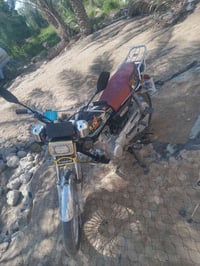 تايگر • ٢٠٢١ • أصولي