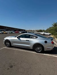 فورد موستنك 2019 ايكوبوست كير عادي يعني تختيم المتعه موستنك و كير عادي...