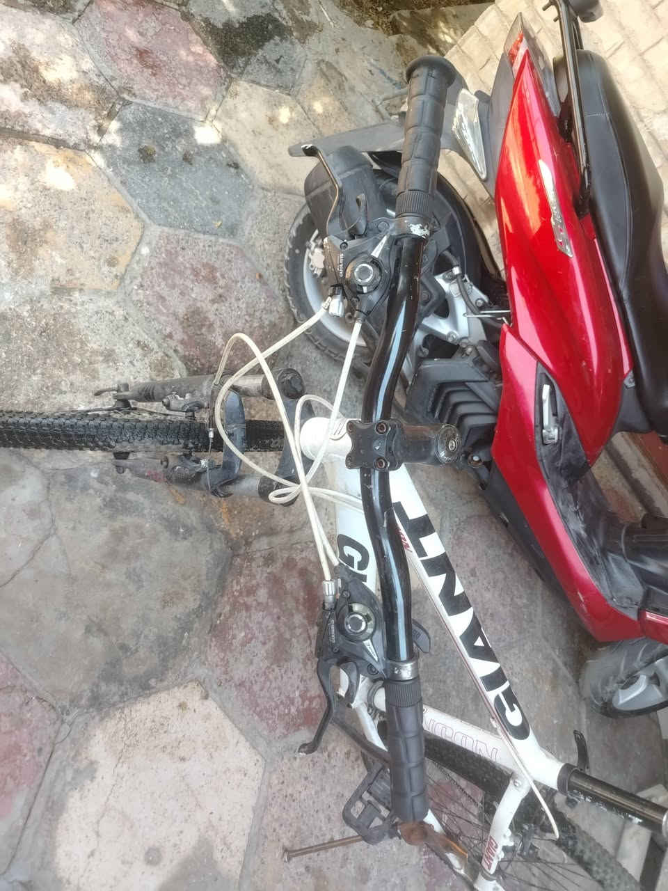 باسكل جينت ماركه حجم ٢٦ بلادي كله شغال السعر ١٢٥ قفل


**إذا كنت صاحب هذا الإعلان وتريد حذفه لأي سبب، رجاءا أرسل رسالة إلى الدعم الفني**