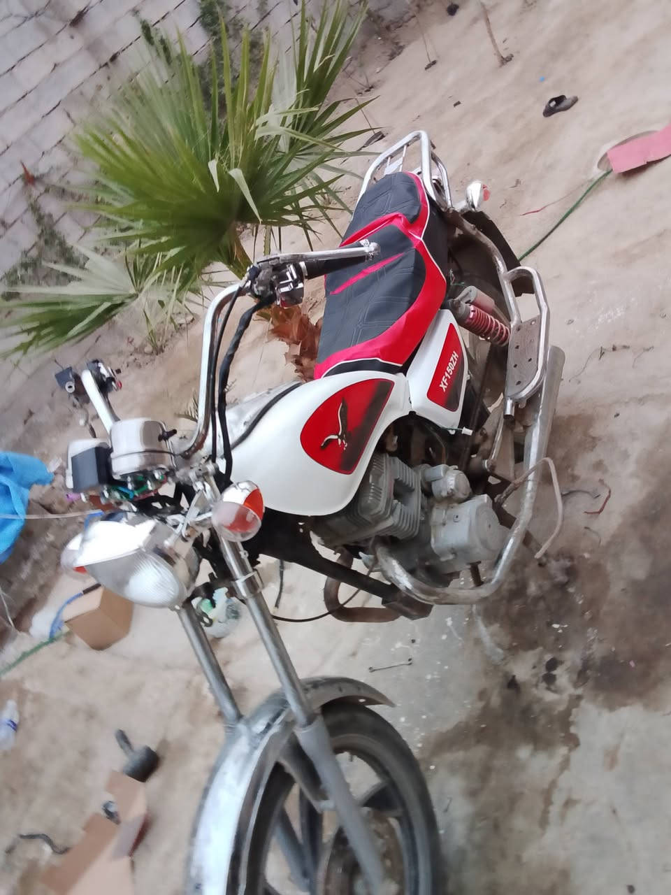 جونده للبيع مو ديل 11رقم وسنويه عضم ***********مكاني الدوانيه
