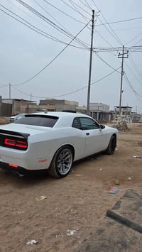 ابيض • ٨ سلندر • ٢٠١٩