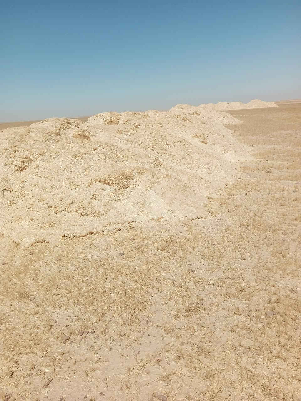 سلام عليكم يوجد تبن للبيع راس كوم مكان صلاح الدين الحجاج سعر العربانه 100وبيهامجال تصال***********
