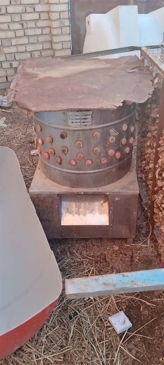 للبيع هلاسه دجاج هي وغراضه كامله ب 
سعره 300 مكانه سماوه شراي خاص


**إذا كنت صاحب هذا الإعلان وتريد حذفه لأي سبب، رجاءا أرسل رسالة إلى الدعم الفني**