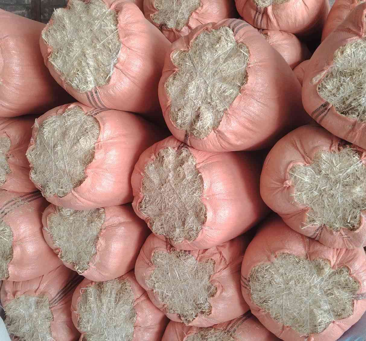 يوجد تبن مطحون للبيع درجه اولى ترس ونظافه يوجد توصيل للإستفسار الاتصال على الرقم ***********
