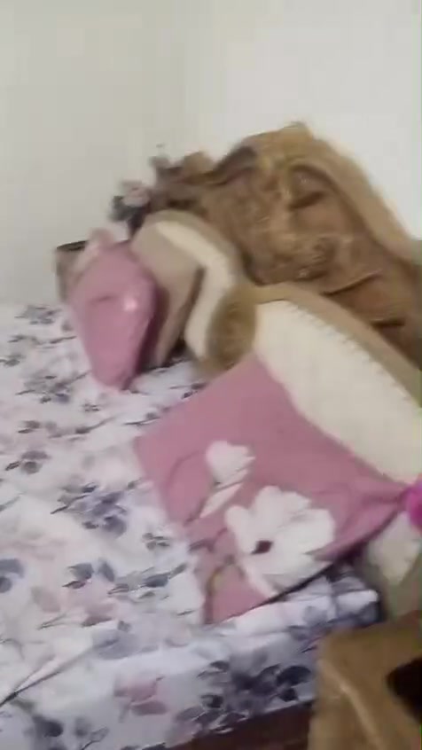 غرفه ماليزيه سعره ٣٠٠بي مجال


**إذا كنت صاحب هذا الإعلان وتريد حذفه لأي سبب، رجاءا أرسل رسالة إلى الدعم الفني**