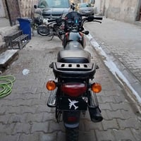بوكسر • مرقم • ٢٠٢٣