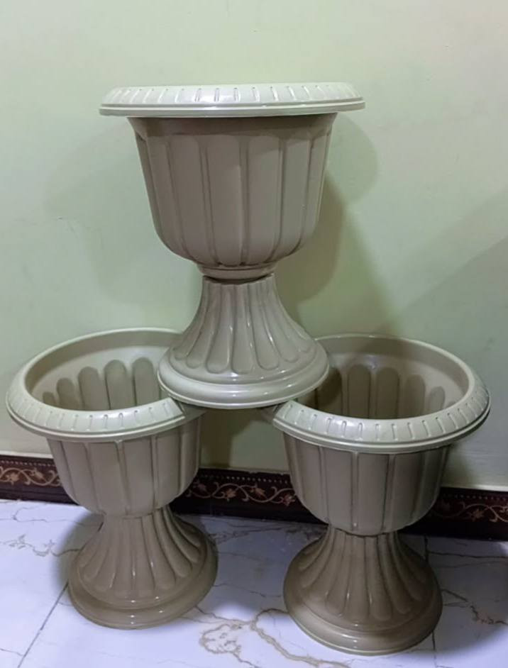 يتوفر سنادين درجة اولى نوعيه ممتازه 🪴 
يتوفر لدينا جميع اكسسوارات نباتات 🕊️🐼🦊 توصيل كل محافظات العراق 🚕 
الزرع لعرض فقط 🪴 
يتوفر جمله ومفرد 🦊🐼 
سارع لحجز كميه محدوده 🎊 
حجز على خاص ☎️
☎️***********📞
