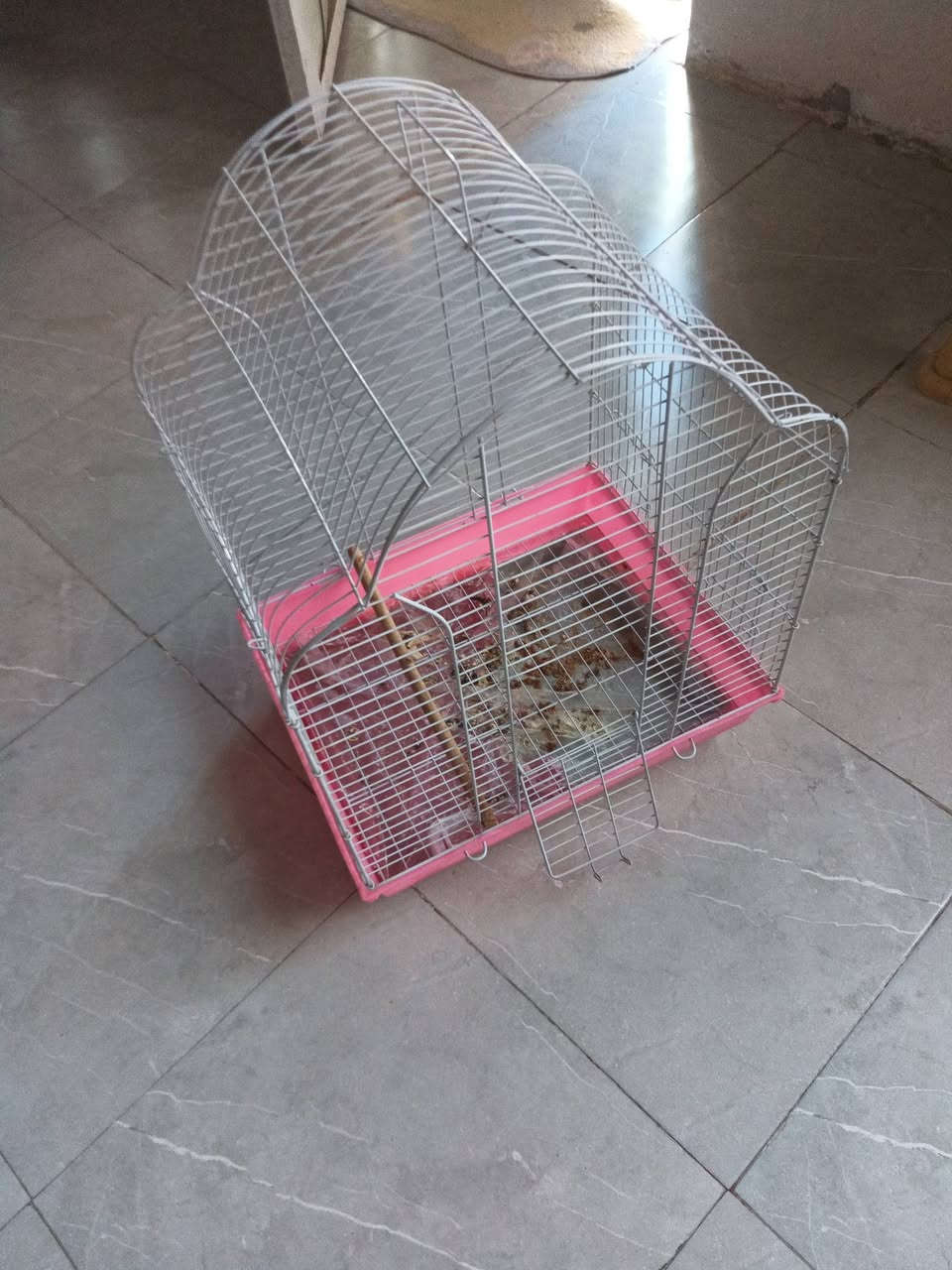 في بابل غراض للبيع كامره دواره صوت وصوره شغاله بحاله جيده وعندي فقط كاميرات اثنين مكينه لحام متعدده تلحم فافون وحديد بحاله جيده وجهاز نت واي فاي عل خط يشتغل بحاله جيد ومضخم صوت كل اجهزه شغاله ونضيفه وتساب *********** أو خاص متوفر وقفص نضيف عل فحص
