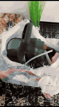 جیهازی بۆیاخ لێی نازانم ئەونە نەبێ ئەزانم یش ئەکات و کێشەی نیە تەنیا دەمانچەی نەقسە  من بە شەرتی هیچ نایفرۆشم یشی ئەکات و کێشەشی نیە نرخی 30هەزارە شەریکەی پارک سایدی ئەسڵیە و لەخزمەتانام مشتەری نیت تێل مەکە ***********
