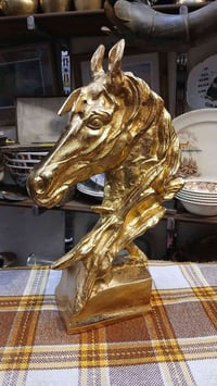 البيع الحجم ٣٩سم العنوان المحل بغداد المدينه شارع الفلاح حي الاكراد قط...