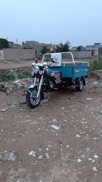 ستوته • ٢٠٢٢ • أوراق أصلية