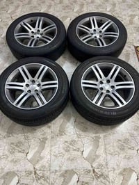 تخم ويل جاجر خليجي حجم 18البيع 07819622427