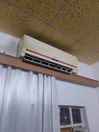 سبلت • شغّالات • اثنين