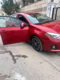 ٢٠١٦ • فول • أربيل