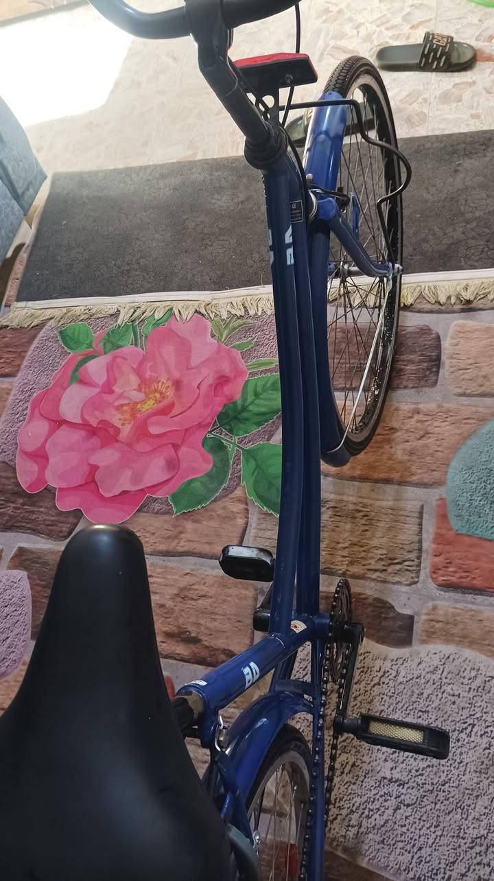 باسكل شركة بيدي لون نيلي للبيع في النجف حي العسكري 90 وبي مجال


**إذا كنت صاحب هذا الإعلان وتريد حذفه لأي سبب، رجاءا أرسل رسالة إلى الدعم الفني**