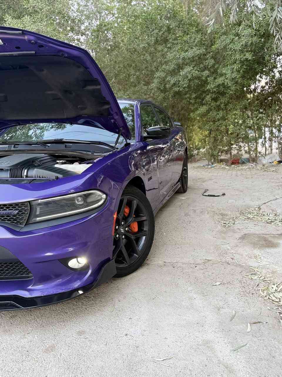 السلام عليكم شباب جارجر RT 2023 بجم كبس بدون ايرباك لون مميز ✅
حادث السياره جاملخ خلفي اليمنه صبغ بدون كص تعديل

واليسره تعديل بارد بتقنيه البيدي ار صور الحادث مرافقه بل صور

موصفات السياره شاشه جبيره كشنات حضن بصمه تشغيل عن بعد Benforms Package تسخين المري الجانبي حساسات
خلفي كأمره دواره السياره عليها كاج كان وكفرات فجوج 6 بستم وسبايدر ريد اي ممشى السياره 12 ألف السياره ب اسمي رقم بغداد ساحه ميسلون  مكان السياره بغداد ساحه ميسلون
***********
