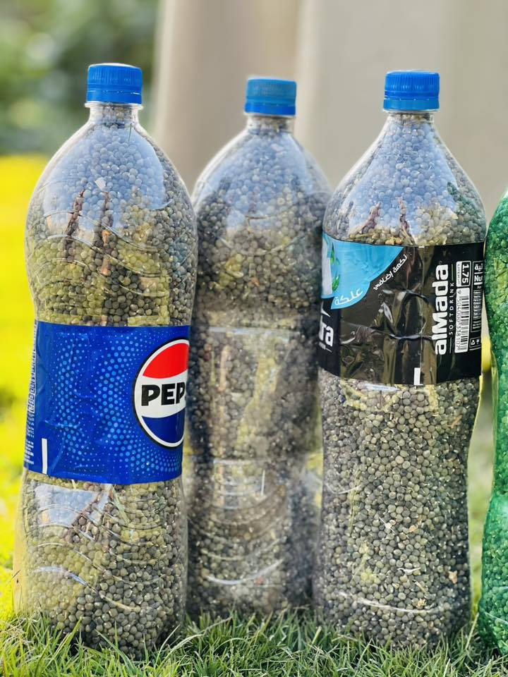 السلام عليكم يتوفر لدينا بذور باميه حسناوية درجة اولى للاستفسار الاتصال على الرقم التالي ***********
