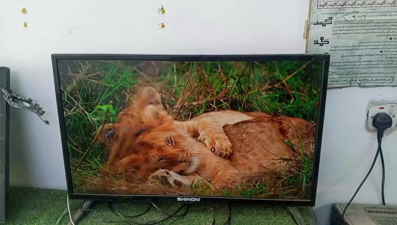 السلام عليكم شاشات للبيع حجم 32 اثنين 43 وحدة واجهزة تيفي بوكس يفتح جميع القنوات المشفرة والقنوات  العراقية للستفسار ***********
