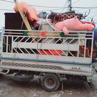 نقل • جميع المحافظات • السليمانية