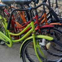 باسكلات حاوية • ياباني ٢٦ • شطره