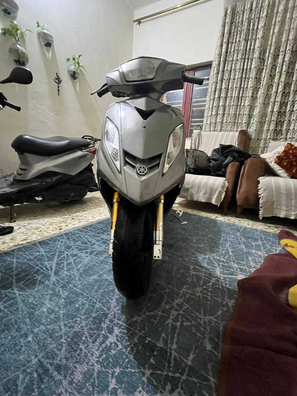 السلام عليكم مرخصت الادمن دراجة جيتي ار لون اسمنتي مميز دراجة خير من الله وما مقصرة بانزين كلة محسن دهن كل 15 يوم دراجة اتعب واكول راقية ومتعب  بيهة سلف رياضي و صدر رياضي دراجة تخبل عارضهة ب 800 وبيهة مجال للشراي مكاني الغزالية شارع الضغط ورقمي ***********
