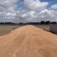 الشافعيه • نص دونم • ١٢٥٠م