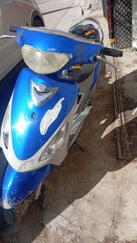 شغاله • مكينة خرسه • عوزه ترتيب