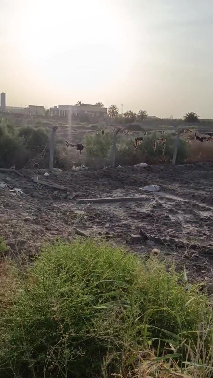 1000م واجهه 25و نزال 40م طابو زراعي كوفه شارع سياحي قرب مجمع الزهور سعر 40
شارع تبليط للاستفسار الاتصال ***********

