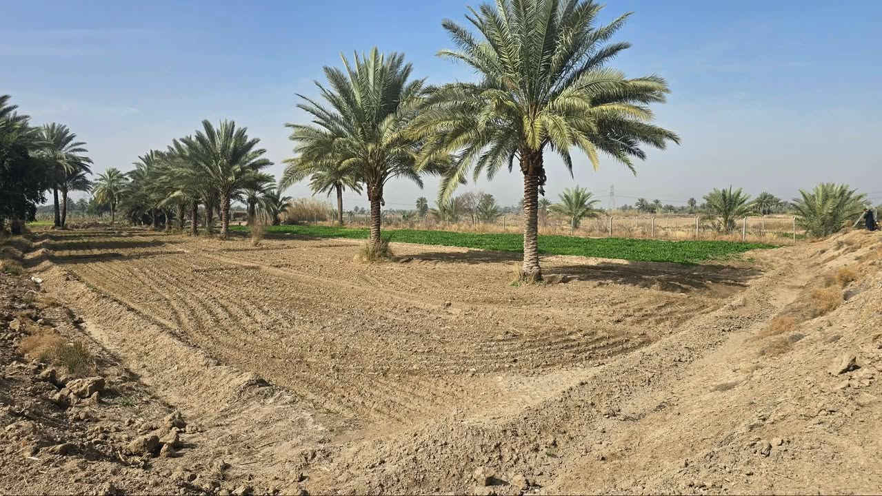 قطعة أرض للبيع – طابو زراعي سند 25 تحويل مُباشر 🔑
📍 الموقع: خلف جامعة بابل 
🚶‍♂️ تبعد: 800 م فقط عن الشارع العام
📐 المساحة: 4800 م ( 2 دونم إلاّ 200 م) 
 واجهه ( 54 م) نزّال ( 90 م) مزروعة نخيل نوعية   ممتازه 🌴
📄 السند: طابو زراعي سند 25 تحويل مباشر ✅
✨ الخدمات متكاملة :
 _ كهرباء 
 _ مياه سقي ( أمام _ خلف) الأرض 
 _ مياه اساله 
وكافة الخدمات بسعر مناسب جداً 📈 

🔴 تصير مزرعة و سكن ممتازه . 

📞 للاستفسار والتفاصيل : 

     ***********  

#عقارات_الحلة #أراضي_للبيع #طابو_زراعي #فرصة_استثمار #جامعة_بابل #عقار_العراق
