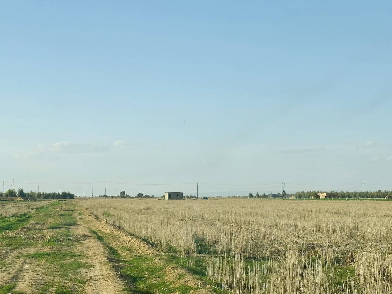 السلام عليكم حصرياً وبسعر روعه اليوم جمعنه مزارع عدد 2 بمنشور واحد
1-شارع الخزيفي

2-شارع الزيتون 

لكم موجز سريع الخزيفي كل الخدمات ماء كهرباء تبليط يبعد 100 متر المساحه 3 دوانم 

الزيتون 7 دوانم ماء كهرباء مكان مميز 

السعر اذا مو بلاش بعد ماانشر 

للاستفسار ***********📞📞

الردود على مدار 24 ساعه 

مسج📩📩📩

الرد📮📮📮
