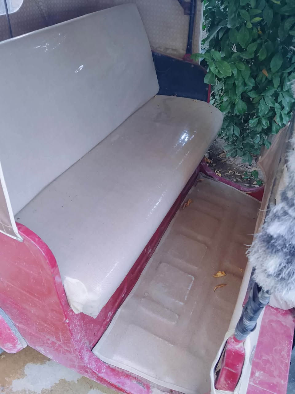 تك تك ١٧ للبيع اوراق اصوليه  تك تك شوفت عينك حلوه ومال شغل محركها انطيك بي ضمان منا السنه ليكدام كفاله عامه من تبخير من تنقيص خيساتها بس الدوسه الكدام السعر ٣:٥٠٠ وبيها مجال  : العنوان ديالى الخالص : الخاص مفتوح


**إذا كنت صاحب هذا الإعلان وتريد حذفه لأي سبب، رجاءا أرسل رسالة إلى الدعم الفني**