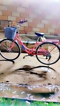 بعقوبة التحرير • بايسكل 26 • وردي بناتي