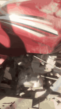 السلام عليكم ستوتة سلطانة النضافة موضحة بلصور بدي جبير مال حمل + مكينة  ٢٠٠كفالة لاتنقيص ولا تبخير اوراق تالفة راعيهة موجود يتكفل حلال وحرام مكاتبة ومنفيست فقط ب١٢٥٠ وبيهة مجال للشراي بغداد الدورة مقابل ابو طيارة السكني *********** ***********
