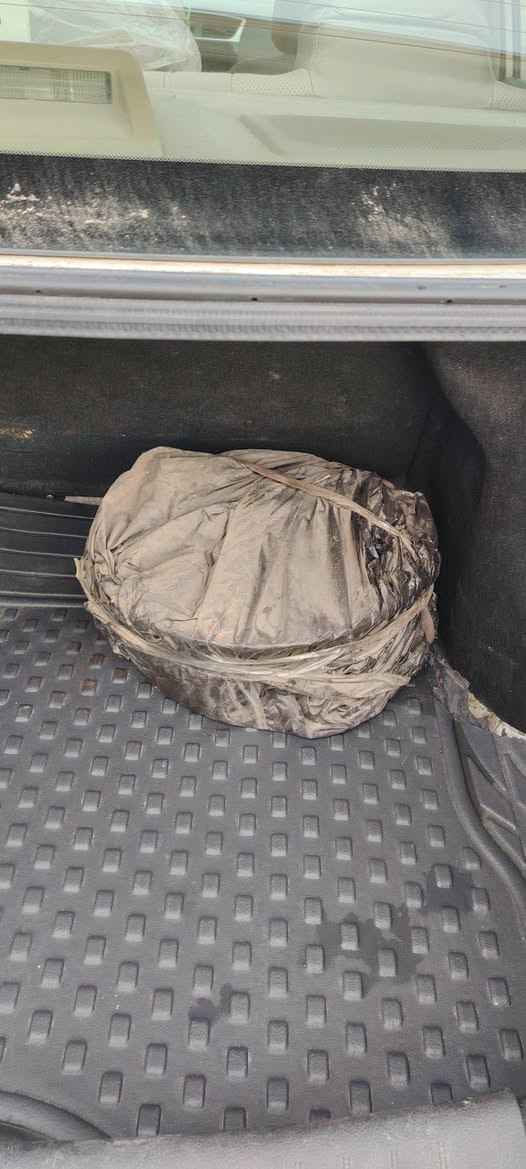 سلام عليكم
نيسان سنترا موديل 2019 سيارة وضع شركة بمعنى الكلمة سيارة كفاله حتى الدعاميات مواصفات السيارة بسم شركه رقم الجديد هز جديده يعني بعدها مامنتهية هزتهة سنويه ل30 كير ومكينه وضع شركه تدفئه تبريد وضع شركه حداديه وضع شركة تختم تاير وضع شركه سبير مانازل مال الشركة كبات بعدهن بلجيس مالتهن كاعيات بعدهن مال الشركة
ملاحظة / الهلال الجاملغ الخلفي اثر جلخ سويناه مقدار اصبع والباقي مكفوله حتى من البارد موصفات السياره تحكم ستيرن شاشه ايباد تبريد خلفي لد امامي خلفي أشاير بلمري أي بي أس مانع انزلاق حساس اقتصادي مال بانزين 5 تجاوي يدات البيبان ستيل وهي مواصفات السنترا معروفة السعر 125 وبيها مجال مكان السيارة نجف للاستفسار الاتصال ع الرقم *********** ☎️
