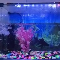 حوض سمك • ٥٠×٣٠ • كامل اغراض