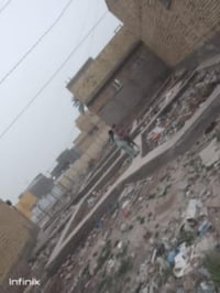 الحمزه الغربي المدحتيه • ٢٥٠م • طابو زراعي سند٢٥