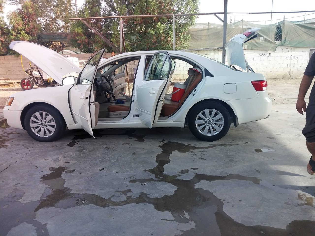 سوناتا 2008وارد امريكي ضرر جامرلوغ امامي بدون دواخل فول مواصفات تحكم ستيرن تنته  مصبوغه عام اثر جراد بدون كلبه وكص مكينه كير مكفولات صدر خلفي امامي جديد تخم تاير  تبريد ثلج تدفه شغاله  رقم بغداد بسمي مكان سياره ديالى السعر 95وبيها مجال مامتواجد عل فيس   هاتف ***********
